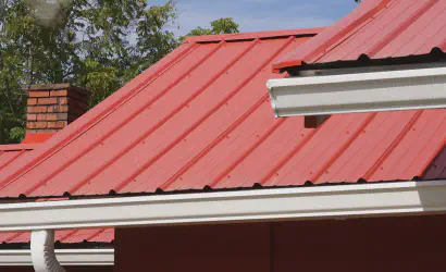 Roof Maintenance and Cleaning